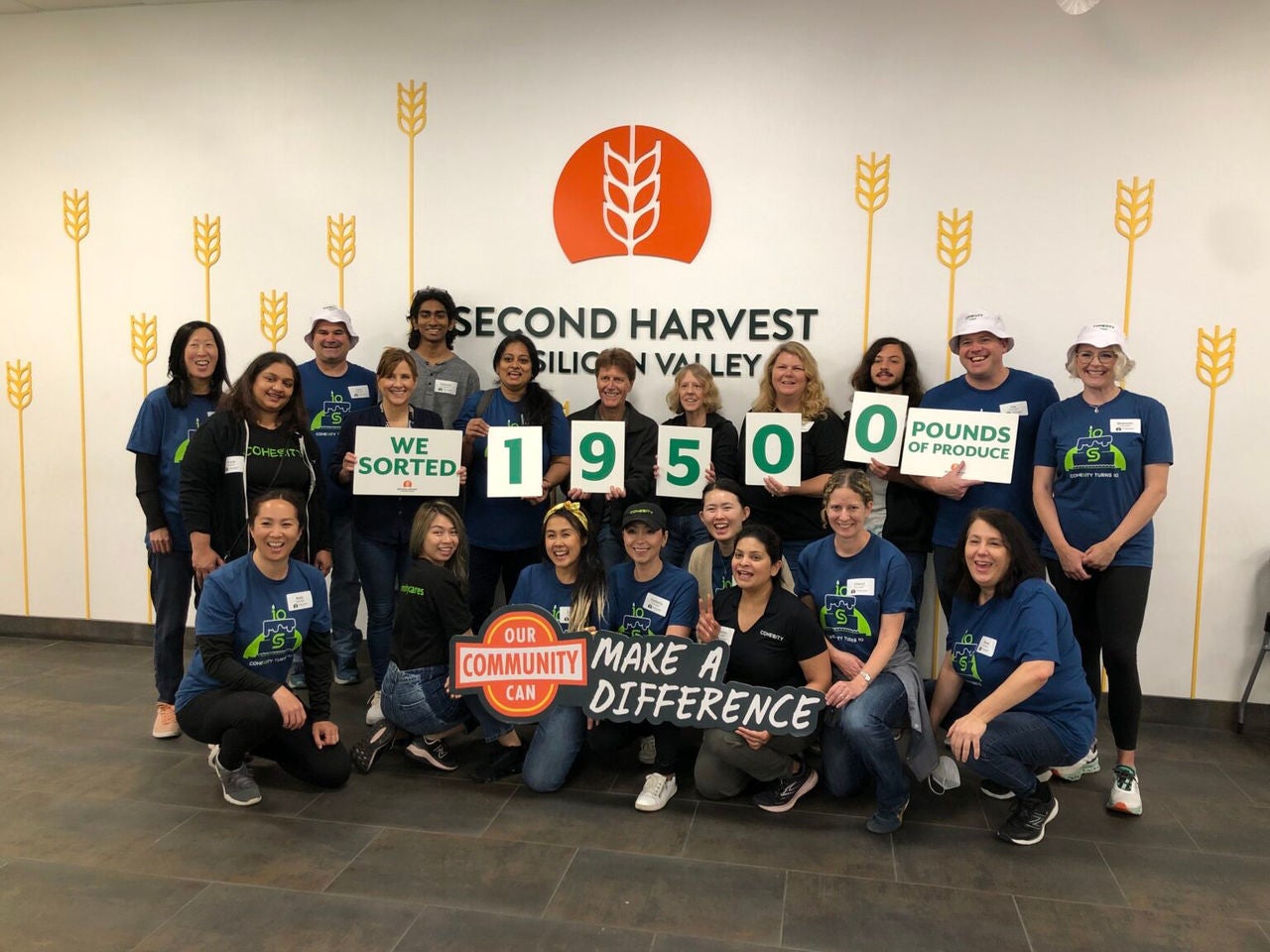 Second harvest